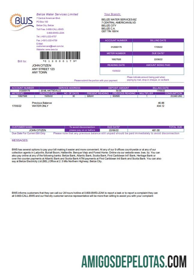 imprimível Modelo de conta de serviços públicos limitada da Belize Water Services em formato Word e PDF